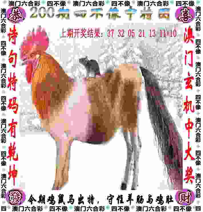 >香港白小白免费资料